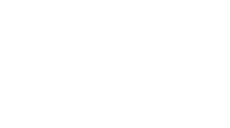 CM Cengiz Glanzwerk